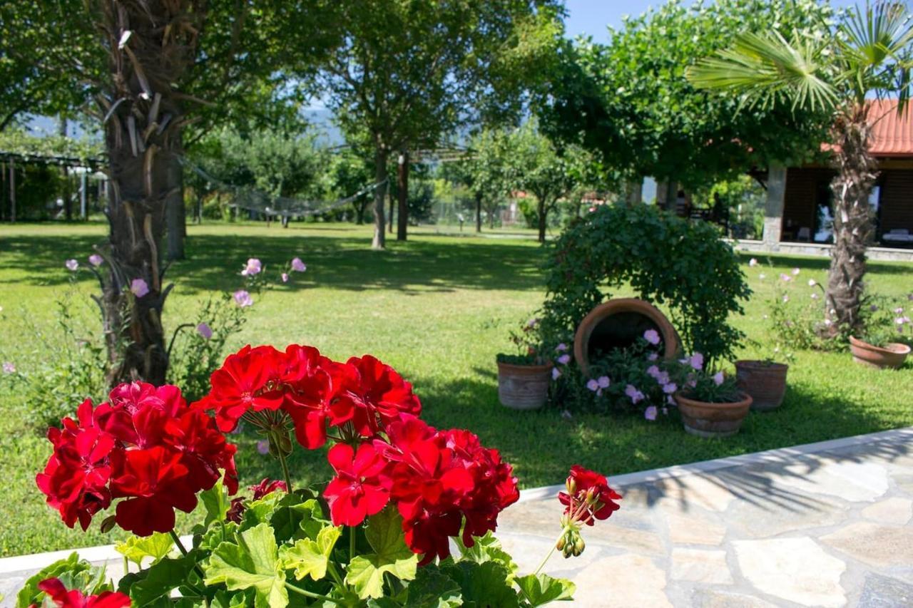 Giorgio Home - Amazing House 3Bd - 400M By The Sea Paralia Skotinis Luaran gambar